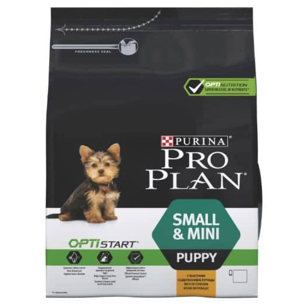 מזון יבש לגורי כלבים