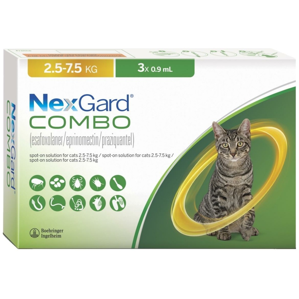 הדברות לחתול